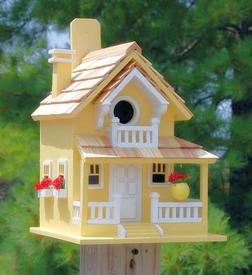 Backyard Bird Cottage Yellow